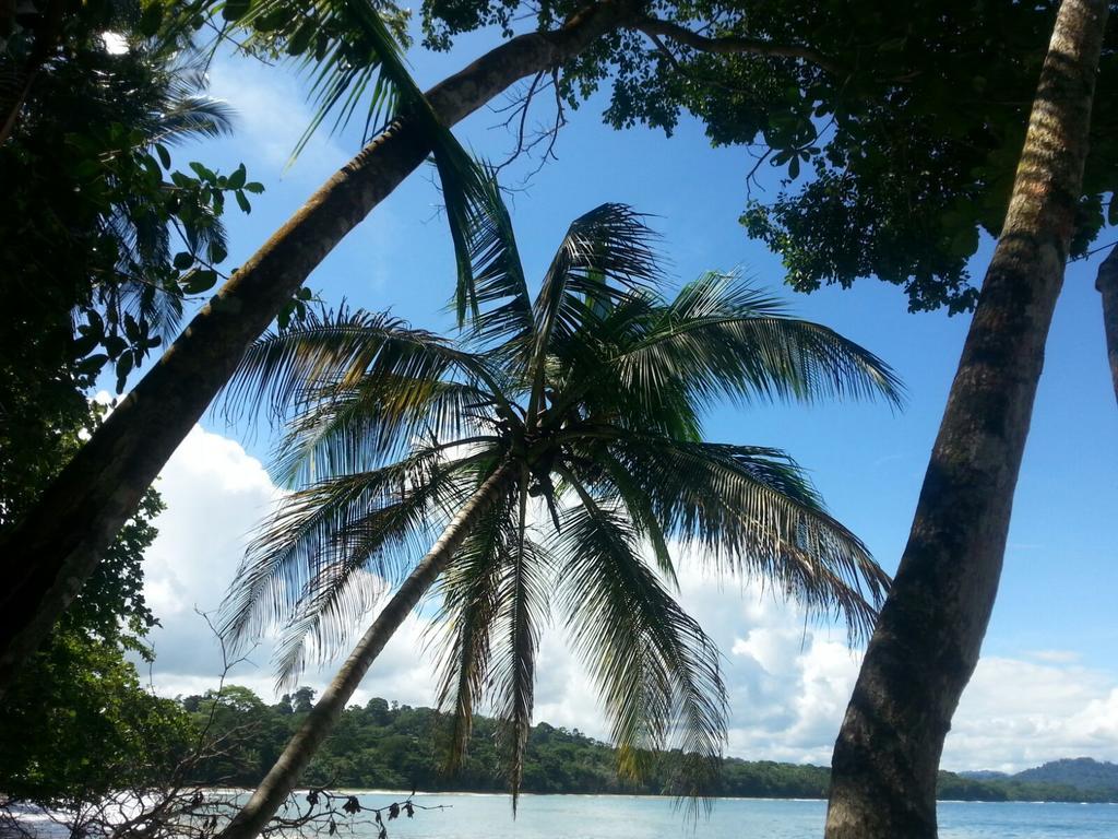 Mar Verde Lodge Puerto Viejo de Talamanca Exteriör bild