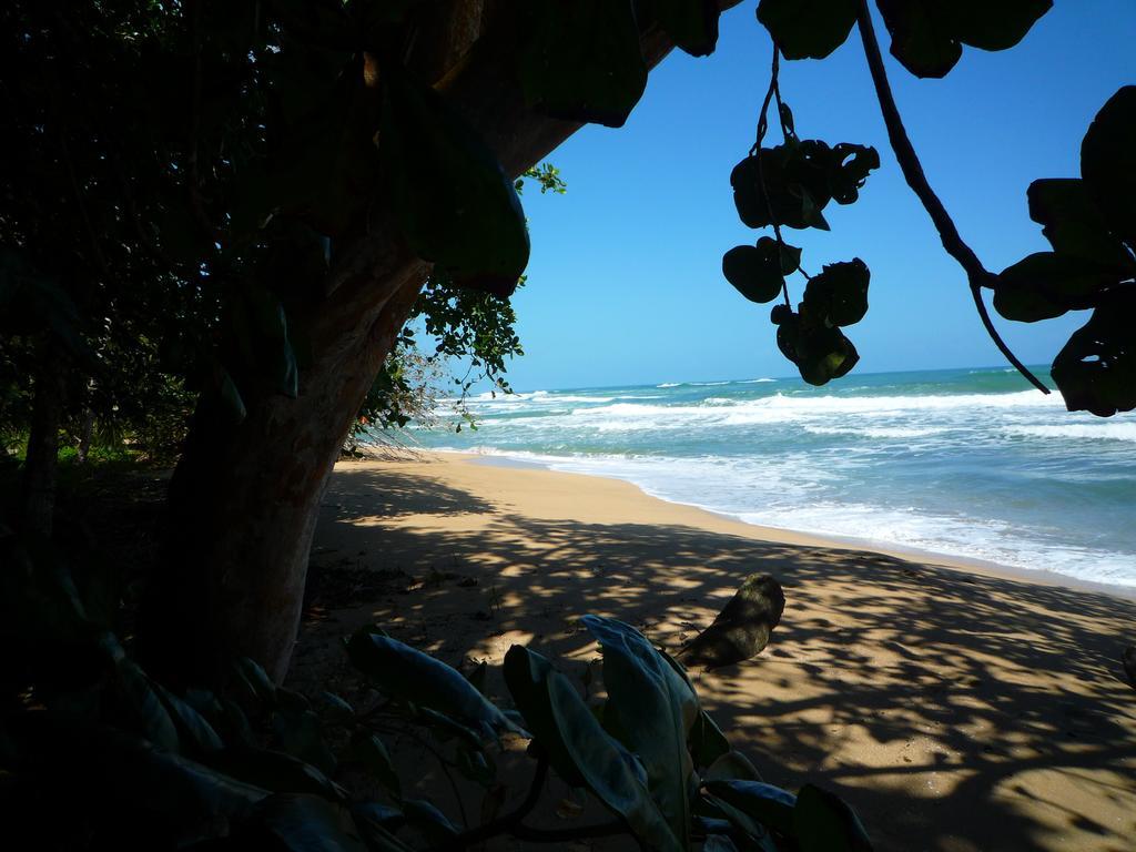 Mar Verde Lodge Puerto Viejo de Talamanca Exteriör bild