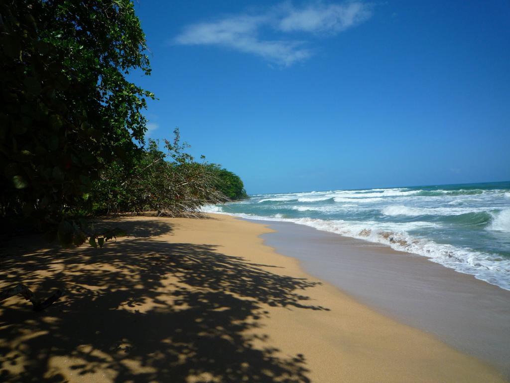 Mar Verde Lodge Puerto Viejo de Talamanca Exteriör bild