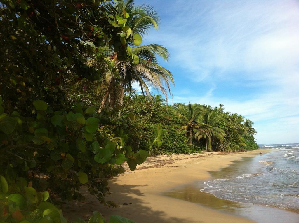 Mar Verde Lodge Puerto Viejo de Talamanca Exteriör bild