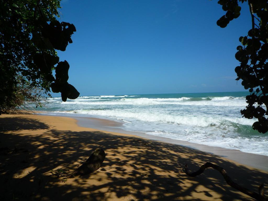 Mar Verde Lodge Puerto Viejo de Talamanca Exteriör bild