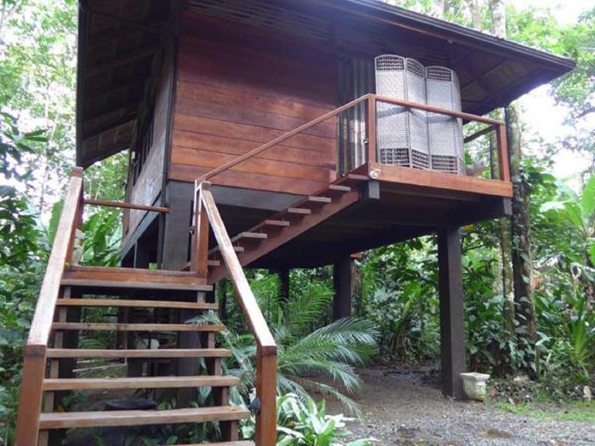 Mar Verde Lodge Puerto Viejo de Talamanca Exteriör bild