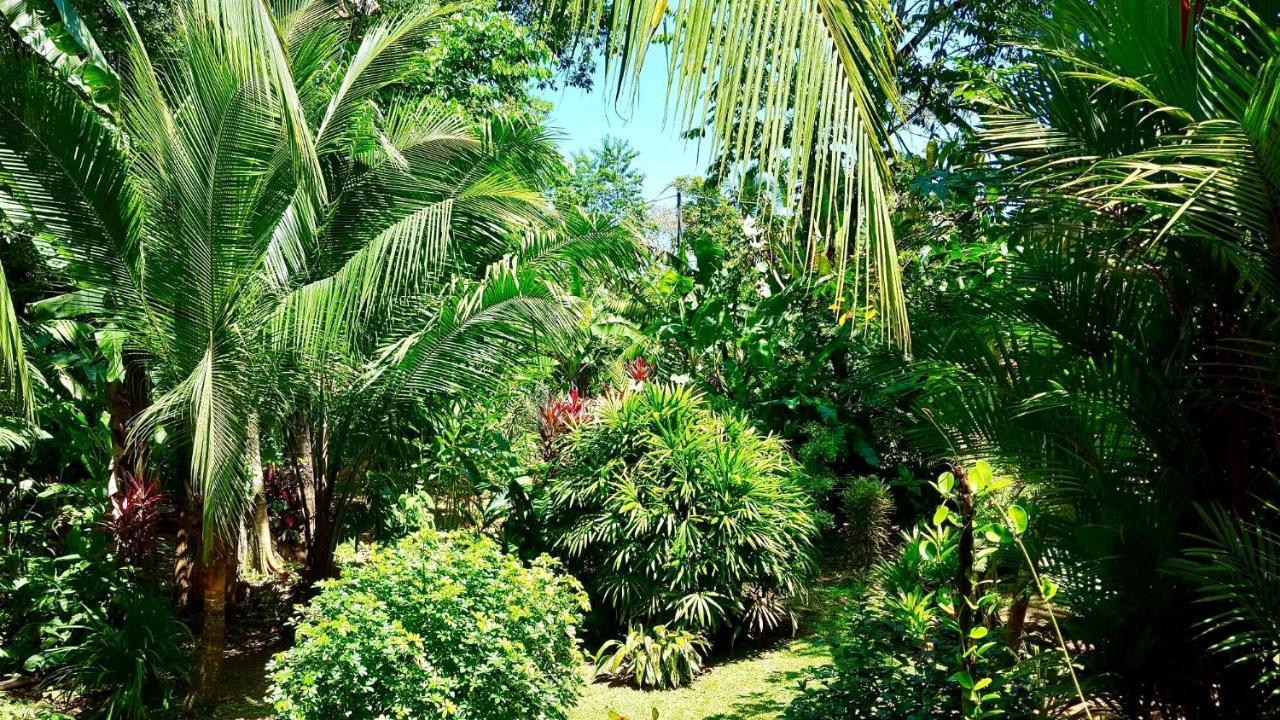 Mar Verde Lodge Puerto Viejo de Talamanca Exteriör bild
